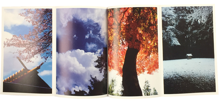 Fold-out pages